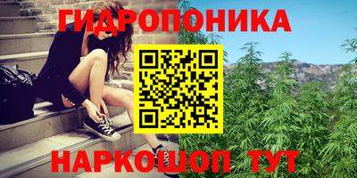 хмурый Можга
