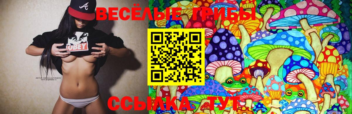 Псилоцибиновые грибы мицелий  Вход с VPN  Верхняя Пышма 